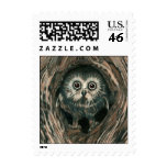 "Home In a Hole" Owl Stamp