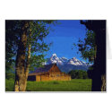 Home in the Mountains cards