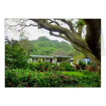 Home in the Tropics Greeting Cards