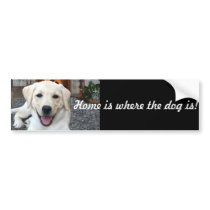 Home is where the dog is bumper sticker