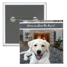 Home is where the dog is buttons