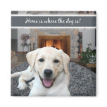 Home is where the dog is magnets