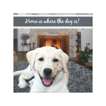 Home is where the dog is stretched canvas prints
