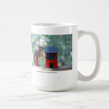 Home is Where the Heart Is Squirrel Coffee Mugs