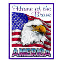 Home of the Brave posters