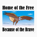 Home of the Free Because of the Brave Print