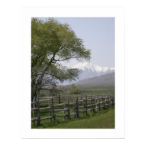 Home on the Range posters by mlane53 Home on the Range posters