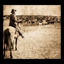 Home on the Range posters