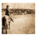 Home on the Range posters