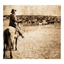 Home on the Range posters