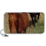 Home on the Range Speakers