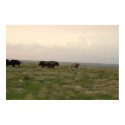 "Home On The Range-Western Kansas" posters