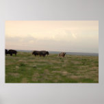 "Home On The Range-Western Kansas" Print