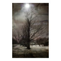 Home posters by seanbeesley Home posters