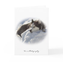 Home Sweet Home Blank Greeting Card by terraphotography Home Sweet Home Blank Greeting Card