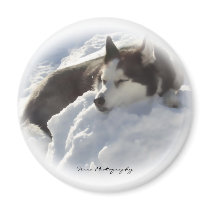Home Sweet Home Magnet by terraphotography Home Sweet Home Magnet