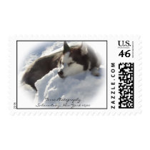 Home Sweet Home Postage Stamp
