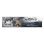 Home to Shelter Bumper Sticker