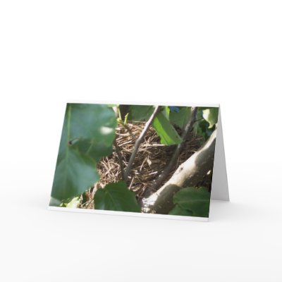 Home tweet Home Greeting Card by eeyore7599