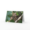 Home tweet Home cards