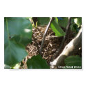 Home tweet home posters by eeyore7599 Home tweet home posters