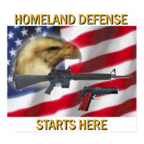 Homeland Defense posters by GraphMan Homeland Defense posters