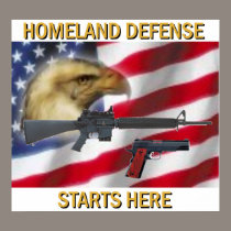 Homeland Defense posters