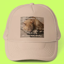 Homeless Cats Trucker Hat