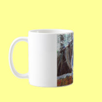 homeless in old orchard beach maine.jpg mugs