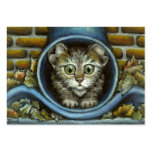 Homeless kitty hiding in a rain pipe business cards