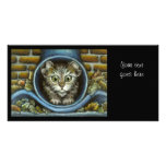 Homeless kitty hiding in a rain pipe customized photo card
