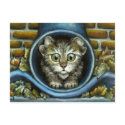 Homeless kitty postcard