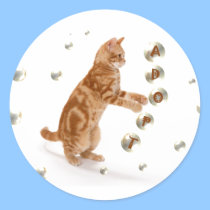 Homeless Kitty Sticker