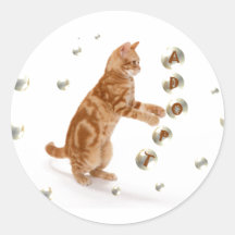 Homeless Kitty Sticker