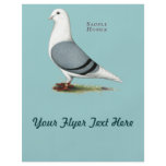 Homer Blue Saddle flyers