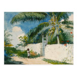 Homer Garden Nassau Vintage Tropical Watercolor Postcard