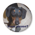 homer, treat please? magnets by ferret11 homer, treat please? magnets