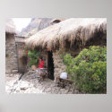 Homes of Peru posters