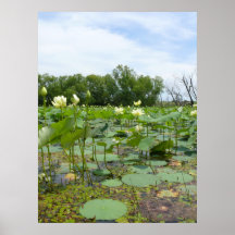 Homestead Pond Poster