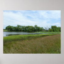 Homestead Pond Print