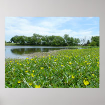 Homestead Pond Poster