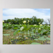 Homestead Pond Poster