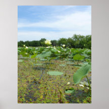 Homestead Pond Poster