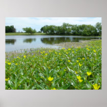 Homestead Pond Print