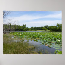Homestead Pond Poster