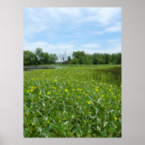 Homestead Pond Poster