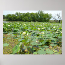 Homestead Pond Posters