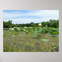 Homestead Pond Posters