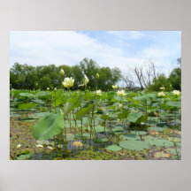 Homestead Pond Print