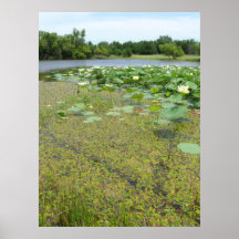 Homestead Pond Print